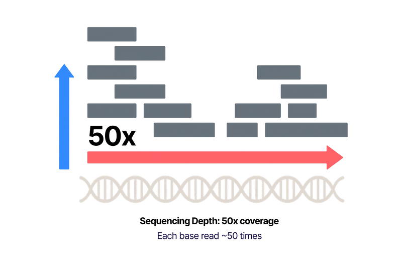 What is Sequencing Depth? - illustration